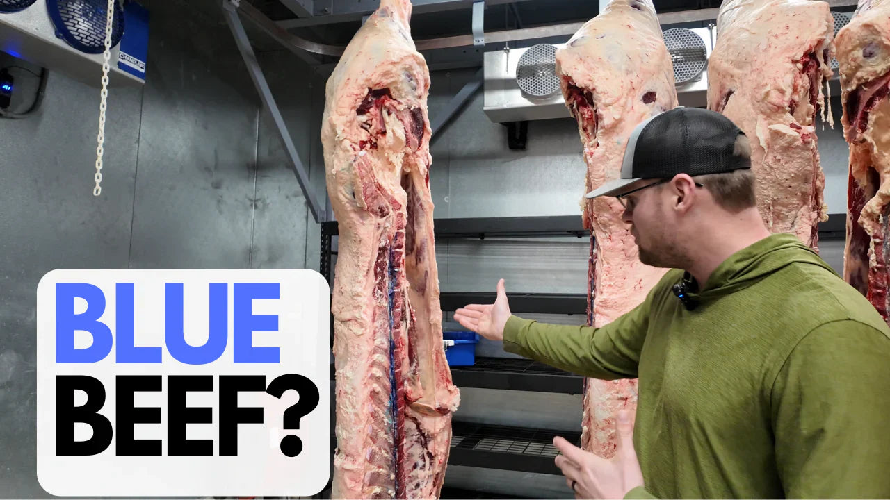 Why Do Some Beef Carcasses Have Blue Marks? Understanding SRMs and Safety in Beef Processing