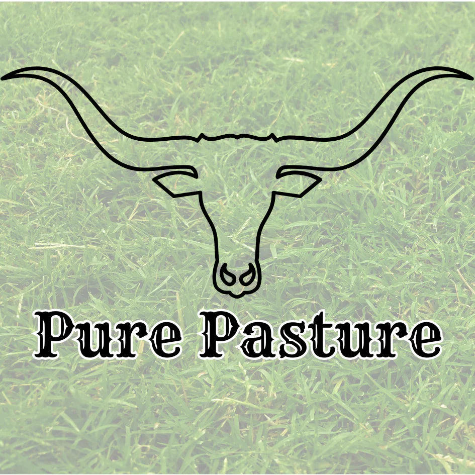 Pure Pasture™ Grassfed Texas Longhorn Ground Beef: Recipes, Benefits & Buying Guide