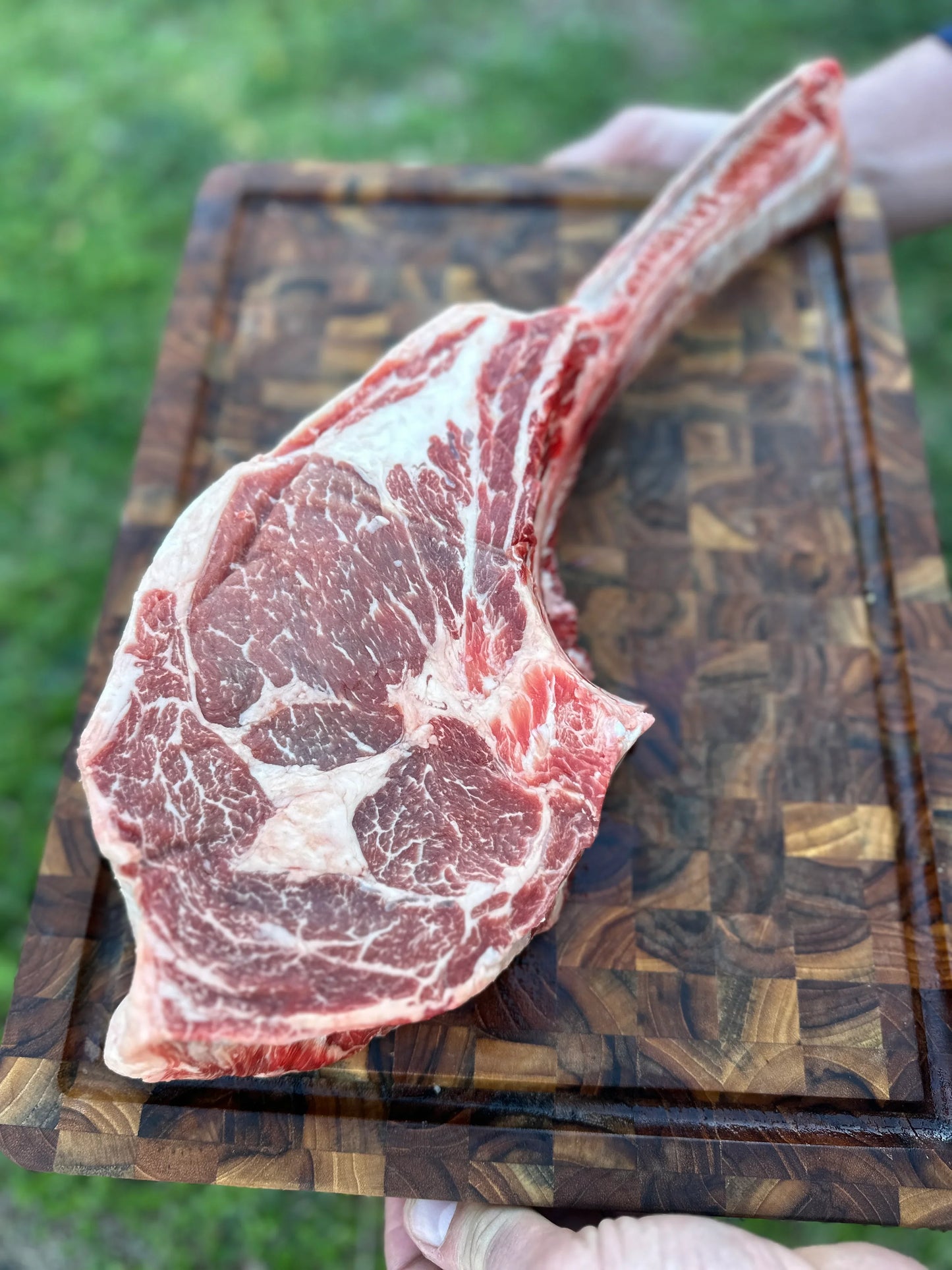 Discover Premium Beef Processing Near You with Parker County Beef Company