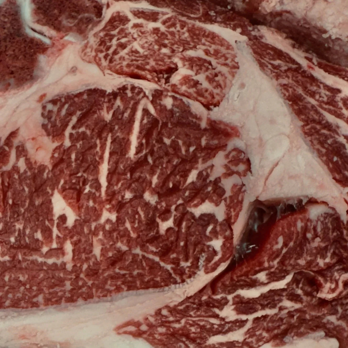 Optimizing Beef Processing: How Parker County Beef Company Combines Old-School Practices with Modern Technology