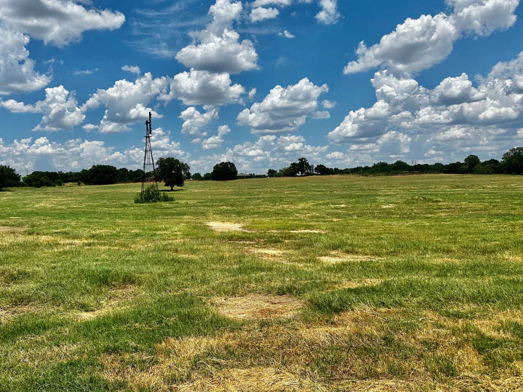 Discover Parker County Beef Company: Your Premier Choice for Quality Beef in Weatherford, TX