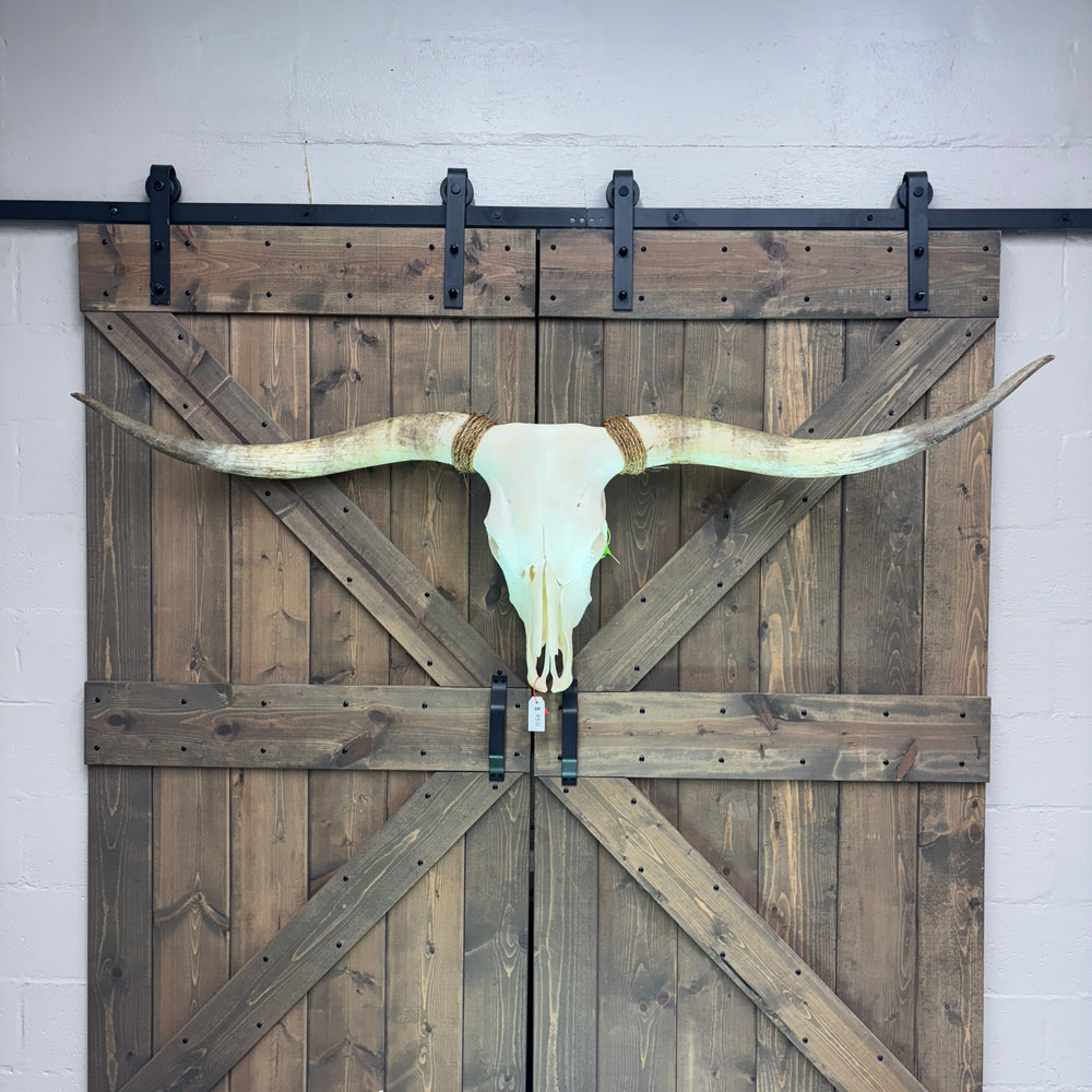 Wooden barn doors with a longhorn skull mounted on them against a white wall.