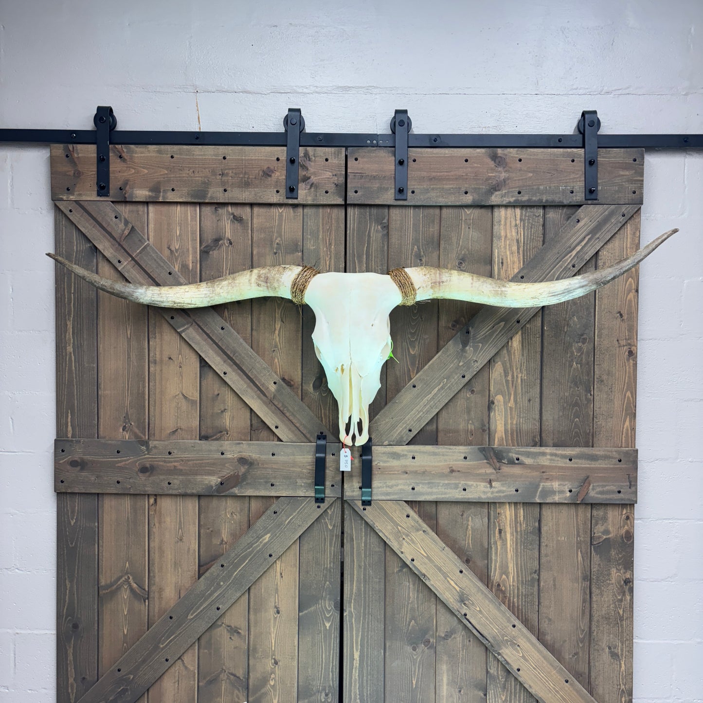 Wooden barn doors with a longhorn skull mounted on them against a white wall.