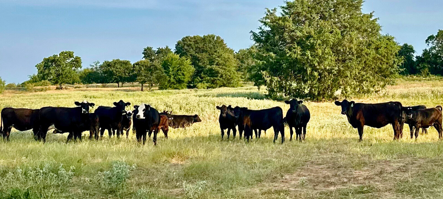 Parker County Beef Company