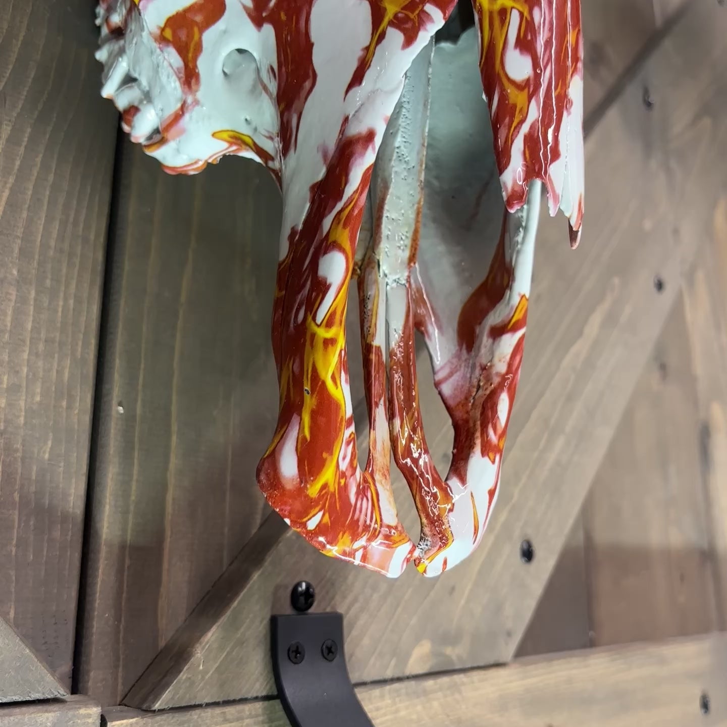 Longhorn Skull 80.5" Dipped